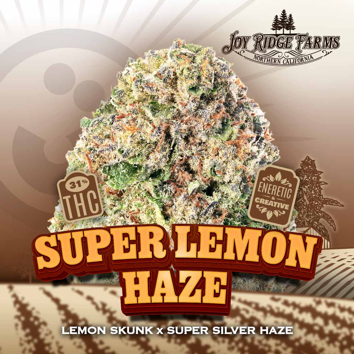 Joy Ridge Farms - Super Lemon Haze Flower 28g