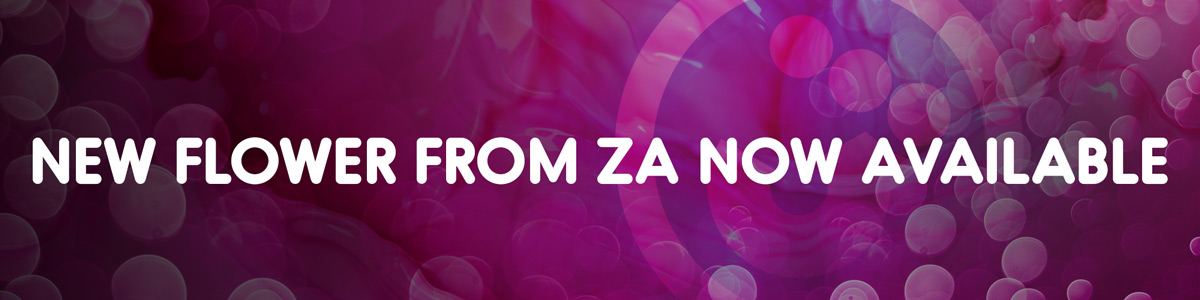 New ZA Flower Announcement