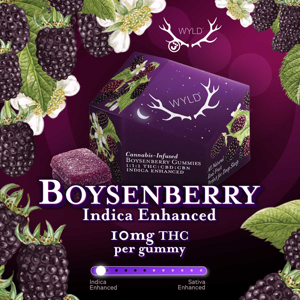 Wyld - Boysenberry 1:1:1 THC:CBD:CBN Indica Enhanced Gummies 100mg