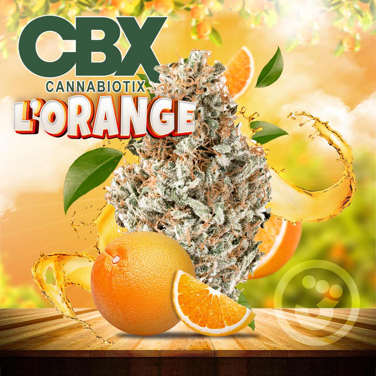 Cannabiotix - L'orange Flower 3.5g