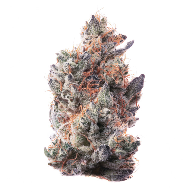 Team Elite - Dump Truck Flower 3.5g